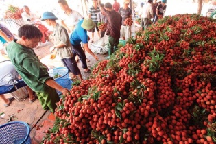 Để nông nghiệp là bệ đỡ, là điểm tựa... 