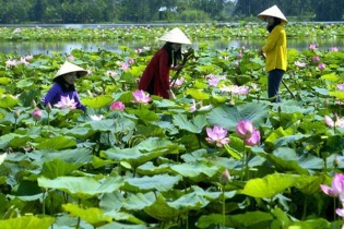 Đồng Tháp phát triển du lịch xanh