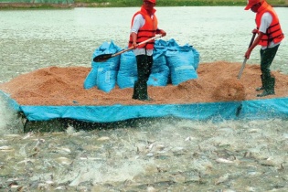 PAN với tham vọng thành “ông trùm” nông nghiệp, thực phẩm