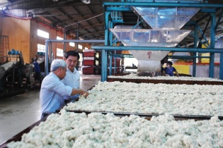 Ba yếu tố khác biệt của Cao su Đồng Phú