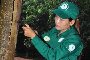Cao su Bình Long khẳng định sự phát triển bền vững