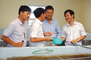 Công ty TNHH Đầu tư thủy sản Nam Miền Trung: Nhân tố mới của Sao Vàng đất Việt 2015