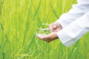 Vinaseed chớp thời cơ từ sự khôn ngoan