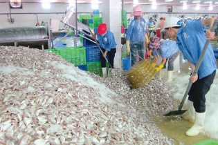 Doanh nghiệp chế biến thủy sản tại Thanh Hóa ‘đói’ nguyên liệu