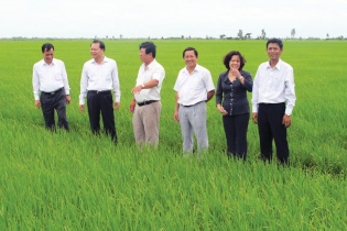 Sóc Trăng đầu tư nâng cao giá trị nông sản