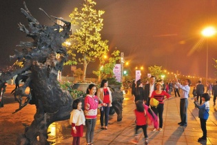 Kỳ bí Mai vàng Yên Tử