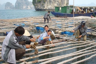 Nông nghiệp Quảng Ninh, dư địa lớn cho nhà đầu tư