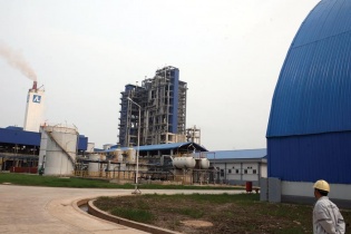 Đạm Ninh Bình chờ giá lên cứu lỗ?