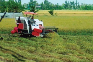 Rà soát cơ chế để hút vốn đầu tư vào nông nghiệp