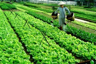UCA đầu tư vào chuỗi 20 nông sản sạch