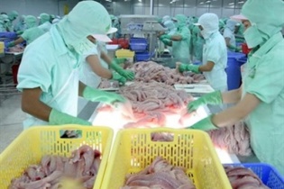 Long An tạo vùng nguyên liệu cho công nghiệp chế biến