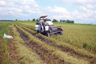 Đầu tư thực phẩm hữu cơ: Miếng bánh khó xơi hay sự cô đơn của doanh nghiệp?