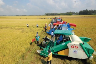 Đầu tư cơ giới hóa sản xuất nông nghiệp: Vùng đất màu mỡ