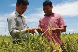 Đường đi của thực phẩm sạch: Nghẽn ở niềm tin