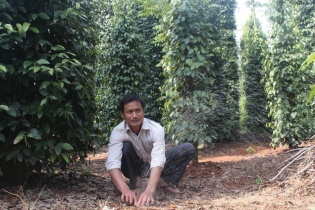 Doanh nghiệp tiêu, điều… điêu đứng vì thời tiết