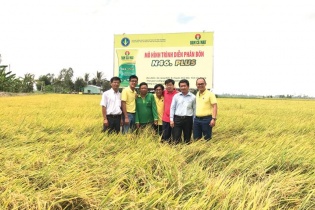 Đạm Cà Mau tăng trưởng mạnh trong quý I