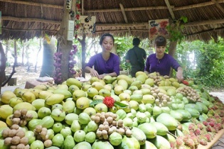 Tăng tiêu thụ trong nước để hỗ trợ tăng trưởng