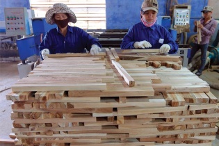 Chặn gỗ bất hợp pháp để tìm lợi ích lớn hơn
