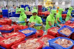 GDP quý II/2017 tăng trưởng 6,17%, kỳ vọng sự bứt phá