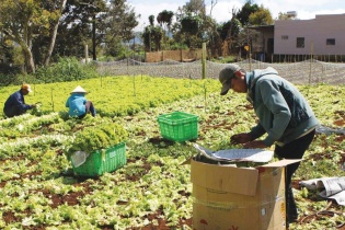 Tây Nguyên cùng nhìn về một hướng