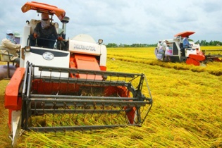 Rộng cơ hội đầu tư vào nông nghiệp tại vùng Đồng bằng sông Cửu Long