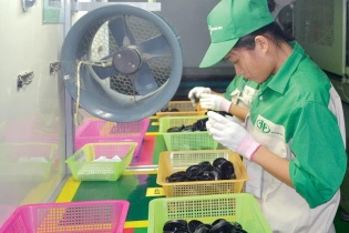 Hỗ trợ doanh nghiệp nhỏ và vừa: Đào tạo vẫn là bài toán khó