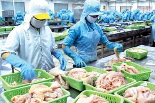 Động thái khó hiểu tại Công ty Đầu tư Việt Việt Nhật