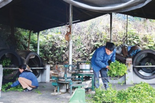 Vốn chính sách sát cánh cùng thanh niên khởi nghiệp