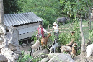 Thoát nghèo nhờ tín dụng chính sách