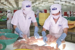 Thủy sản Hùng Vương “đi ngược chiều”