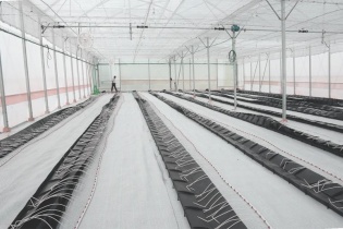 Nông nghiệp Công nghệ cao - Niềm tin vào tương lai của Phú Yên