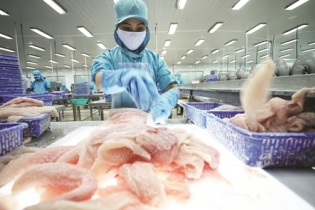 Dư địa lớn cho doanh nghiệp đầu tư chuỗi cung ứng lạnh