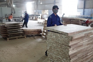 Nỗi lo thường trực của ngành chế biến gỗ