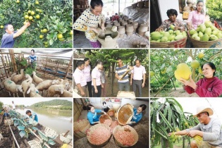 Tín dụng chính sách: Công cụ hỗ trợ trực tiếp giảm nghèo