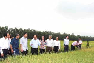 An Giang đón làn sóng đầu tư vào nông nghiệp và du lịch
