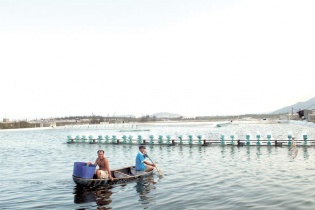 Camimex nuôi tham vọng trong khối nợ lớn 