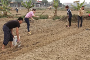Tín dụng chính sách tạo sinh kế bền vững cho thanh niên 