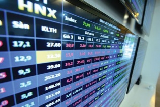 Vicostone không có kế hoạch vực dậy cổ phiếu