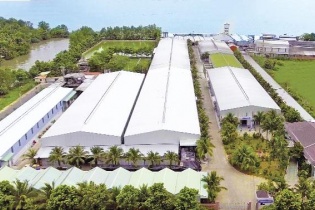 Sản phẩm dừa Vietcoco chinh phục thị trường thế giới 