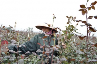 Hấp lực từ du lịch trải nghiệm