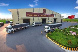 Hoa Sen rút lui khỏi cuộc đua tăng sản xuất - bán hàng