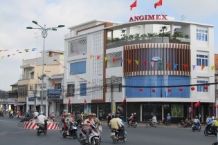 Giải mã cặp đôi doanh thu - hàng tồn kho tại Angimex
