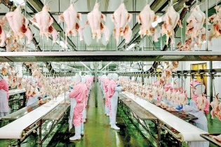 Cơ hội mở rộng hợp tác đầu tư chế biến nông sản