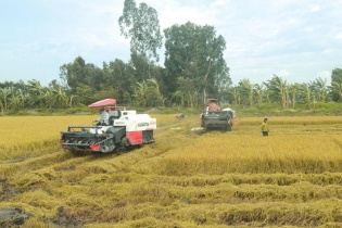 Cơ hội đầu tư phát triển nông nghiệp tại Kiên Giang