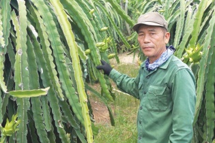 Vốn chính sách giúp trên 28.000 hộ dân vươn lên, vượt qua ngưỡng nghèo