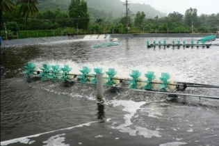 Giải bài toán năng lượng điện cho ngành tôm