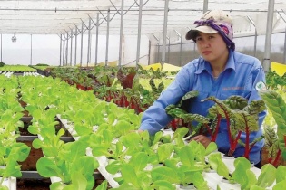 Agribank chung tay thúc đẩy tín dụng xanh