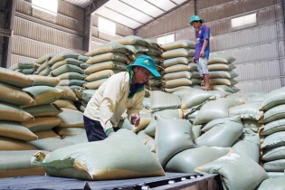 Ngành hàng xuất khẩu tỷ đô chật vật cán đích