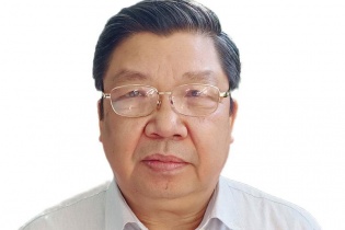 Phát triển bền vững với mô hình liên kết trồng rừng gỗ lớn