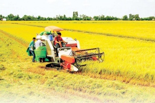 Trà Vinh dành ưu đãi lớn cho doanh nghiệp